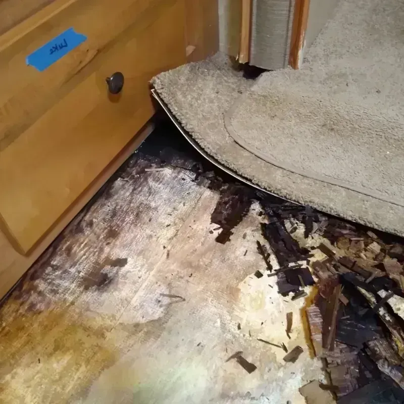 Wood Floor Water Damage in Rio Hondo, TX